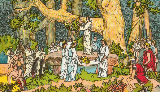 Le gui, une plante à laquelle les Celtes conféraient des vertus magiques.