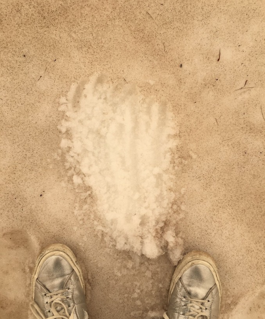 Le blanc immaculé des glaciers a pris une teinte marron. Photo : Fabulousmonster / Twitter