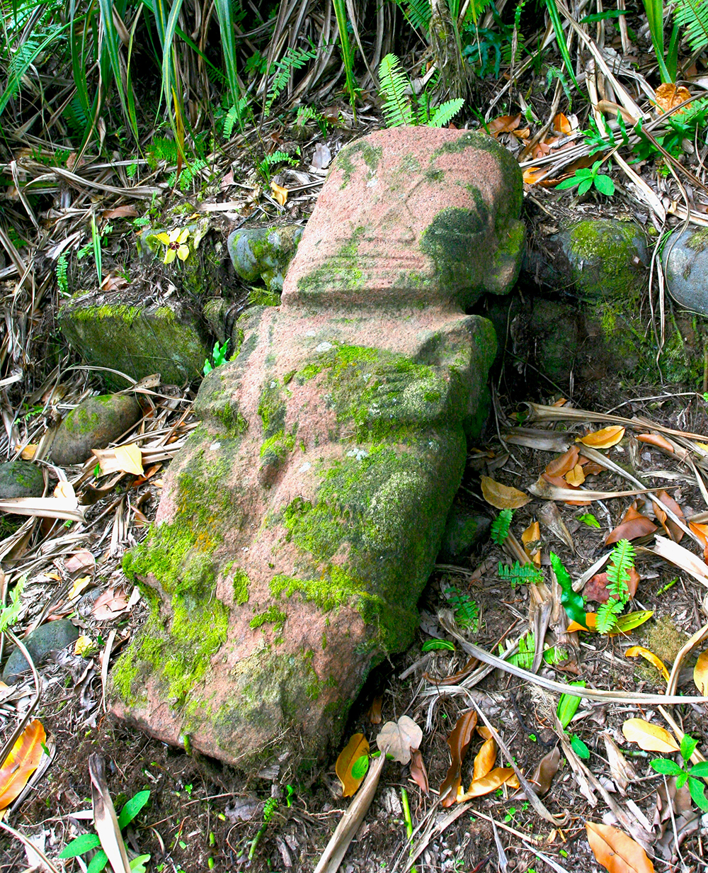 Oublié pendant longtemps, hors des circuits touristiques, voici le tiki sans nom de la haute vallée de Puamau, à Hiva Oa.