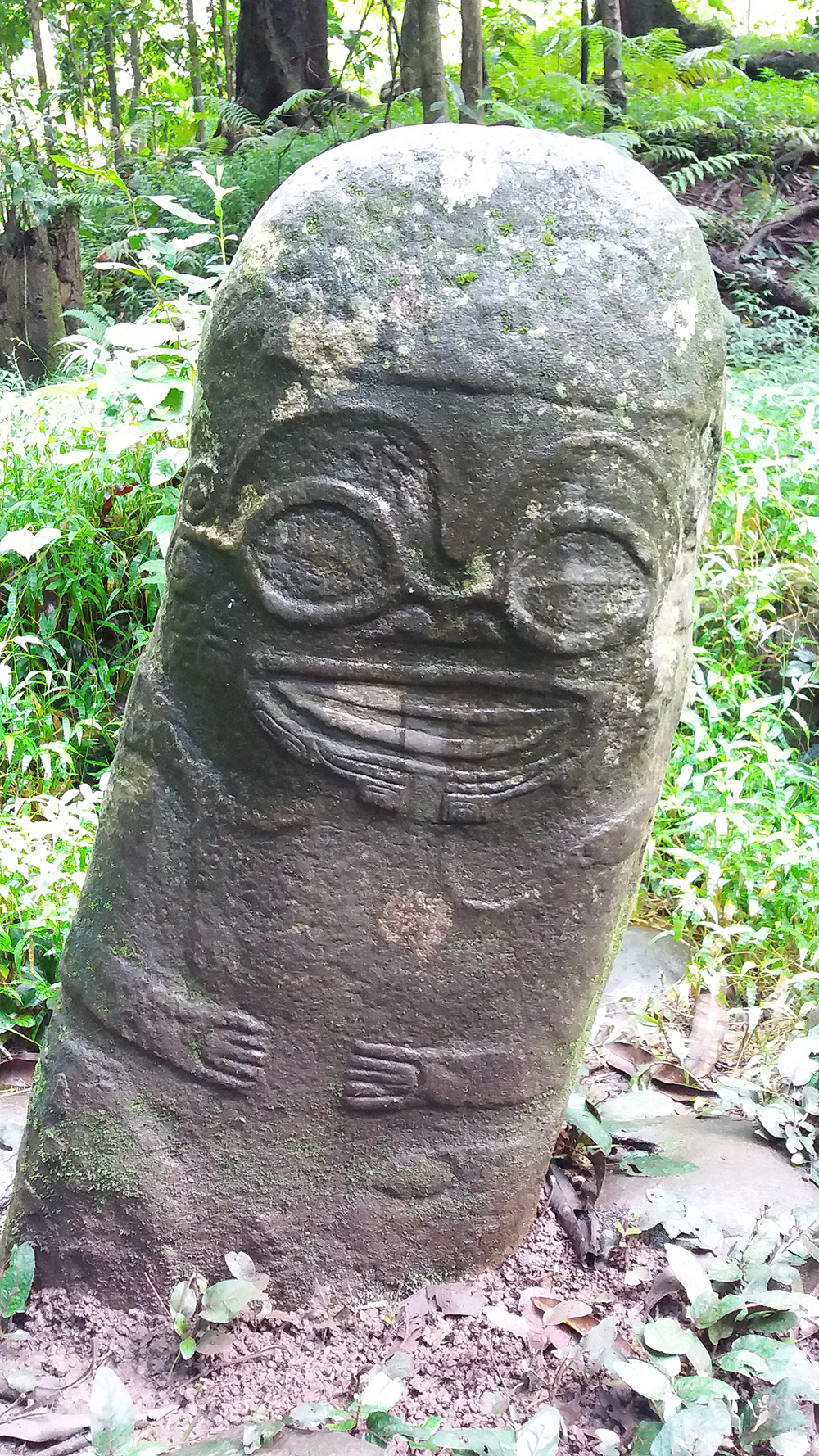 Le très étonnant tiki souriant près de l’aéroport de Hiva Oa ; en pleine forêt, il repose sur un pavage de pierres ; le site est vaste, sans doute riche, mais aucune restauration n’a encore été possible et c’est bien dommage.