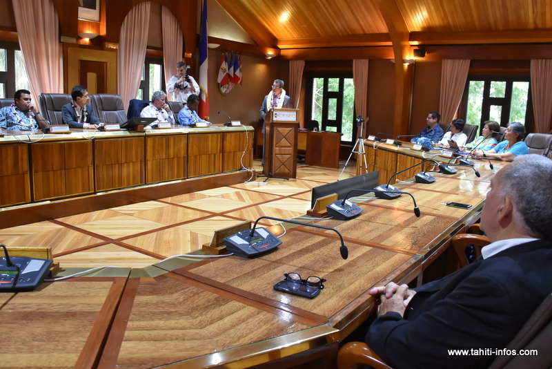 Fritch invite le CESEC au consensus en 2020