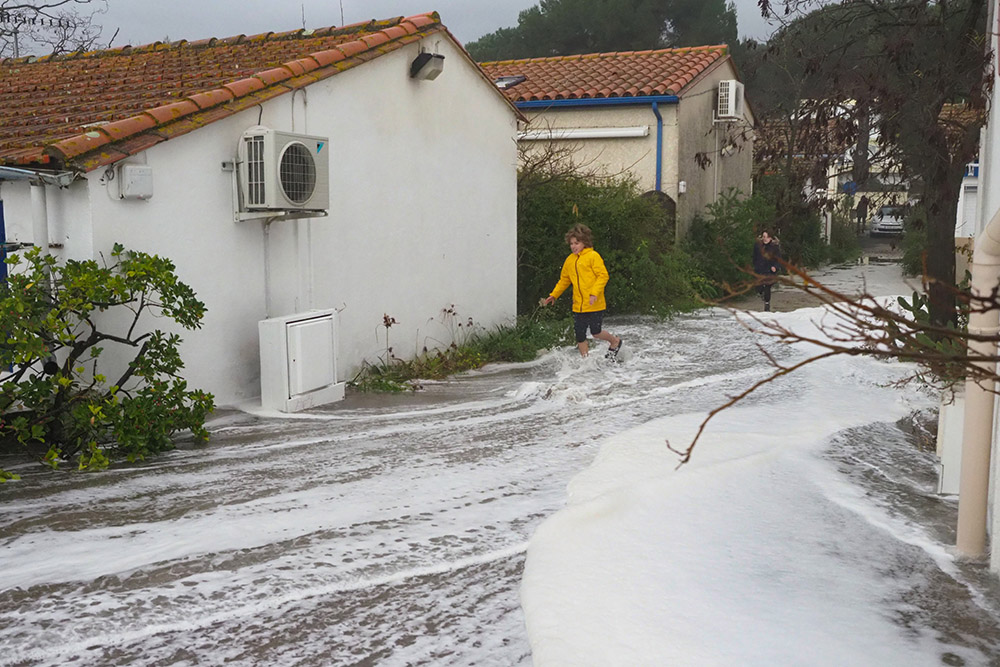 La tempête "Gloria" touche les Pyrénées-Orientales, 1.000 foyers sans électricité