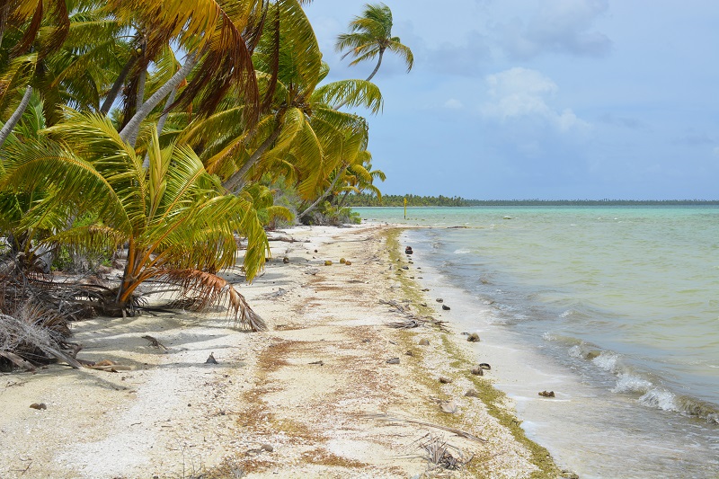 Combien valent nos lagons ?