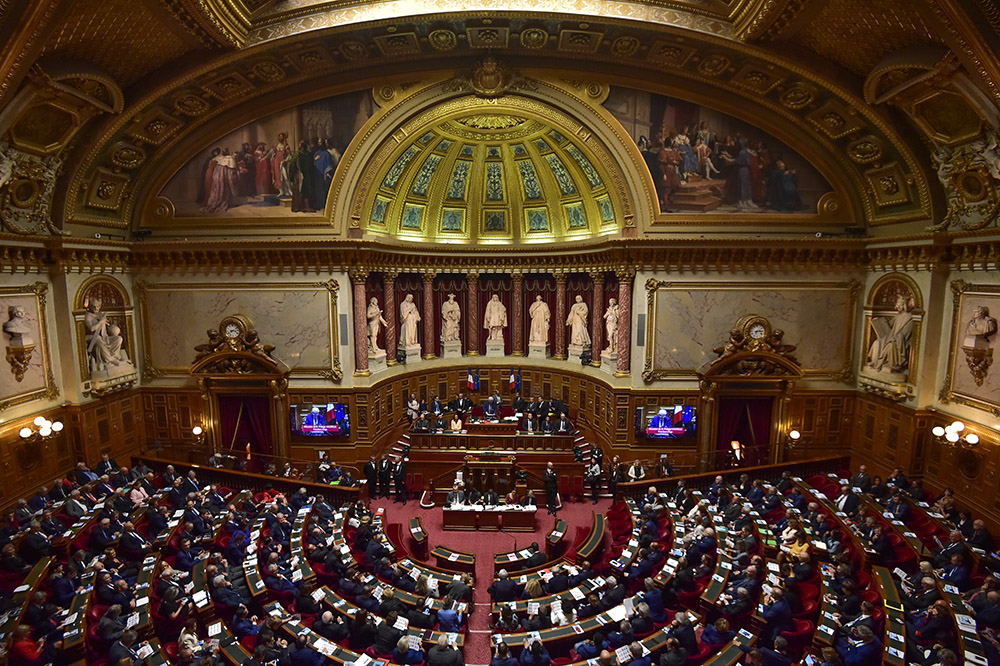 Bioéthique: le Sénat vote la PMA pour toutes, mais pas le remboursement pour toutes
