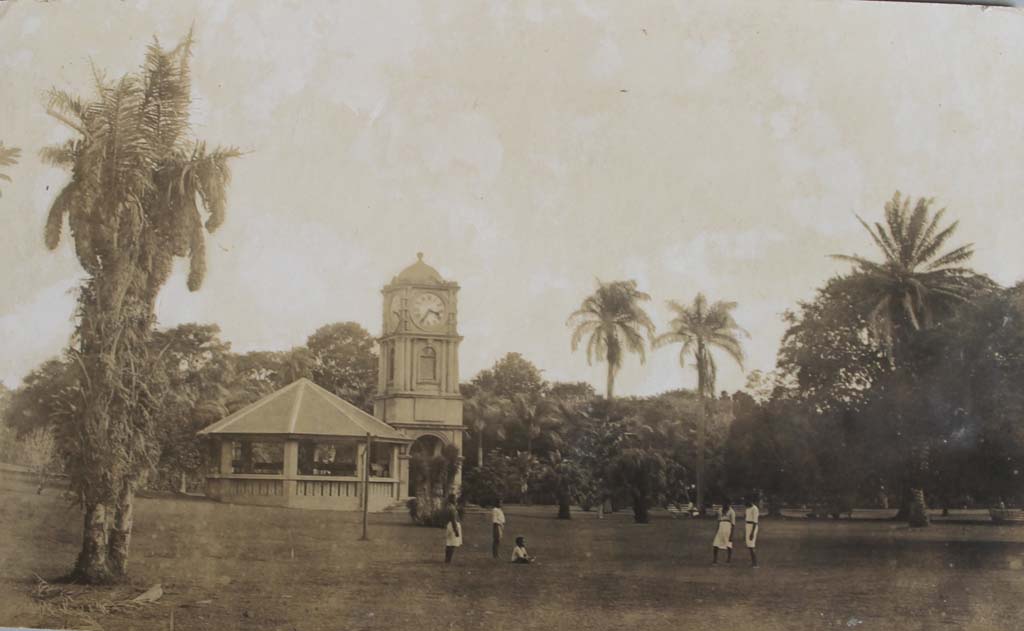 En 1879, John Thusrton invita un botaniste à venir depuis l’île Maurice pour l’aider à créer un jardin botanique au centre de Suva. Les Botanical Gardens de Fidji changèrent de nom en 1979 pour devenir les Thurston Gardens, en hommage à l’homme qui avait, entre autres, sauvé Fidji du Ku Klux Klan.