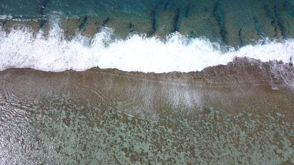 Les empreintes laissées par les chenilles de la drague sur 2,5 kilomètres de récif à Maupiti. (Photo : Facebook Maupiti Sport).