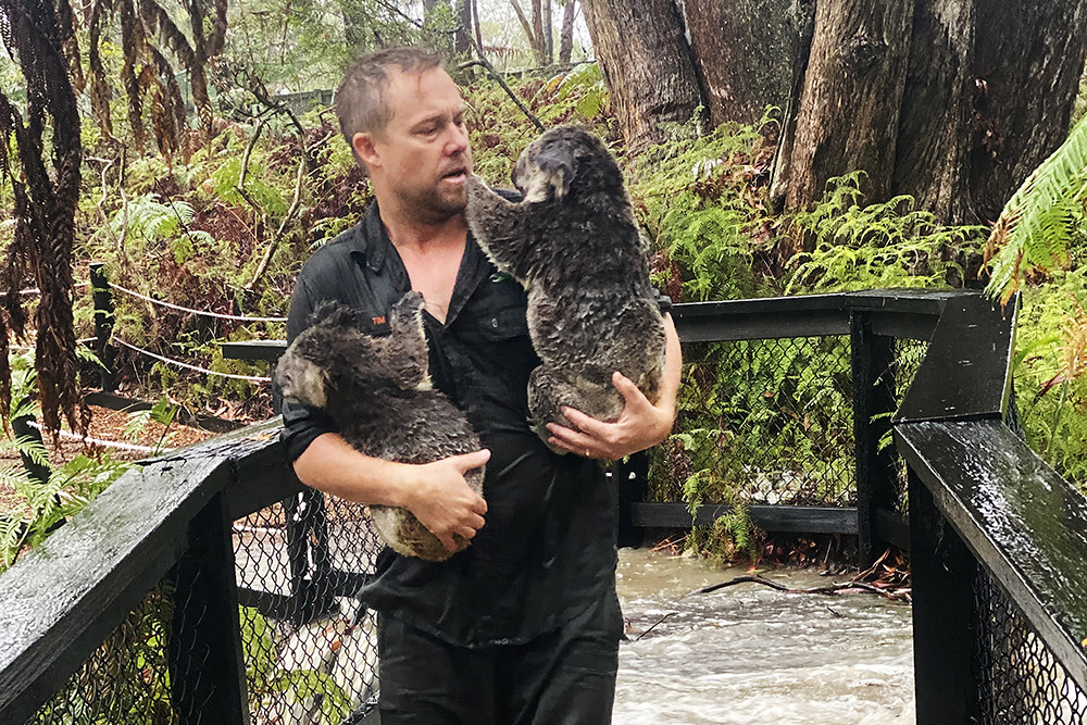Six nations: les belles promesses du XV de France