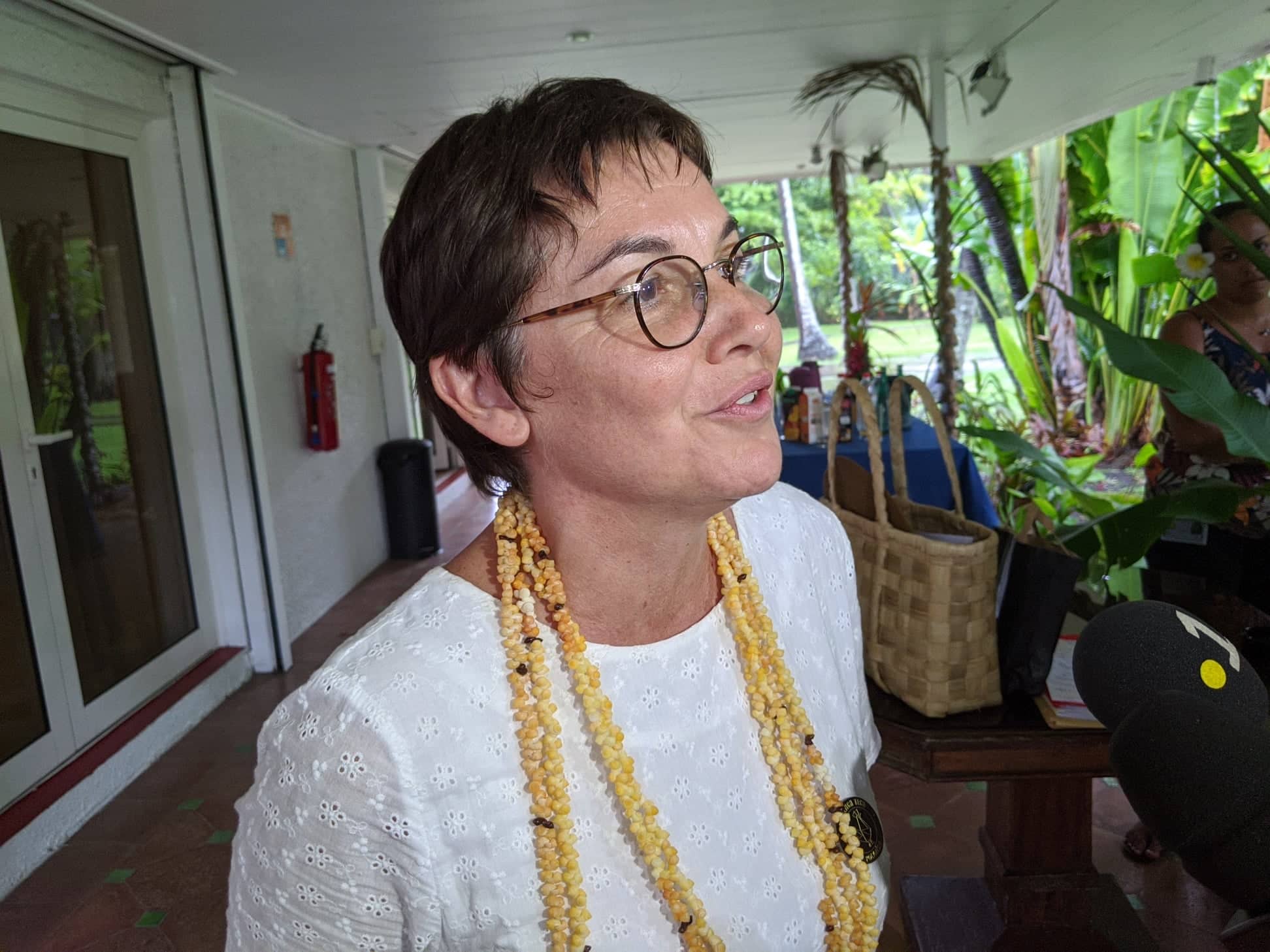 Girardin veut entrer “en guerre contre l’ice”