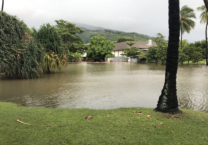​Le Musée de Tahiti et des îles fermé à cause des pluies