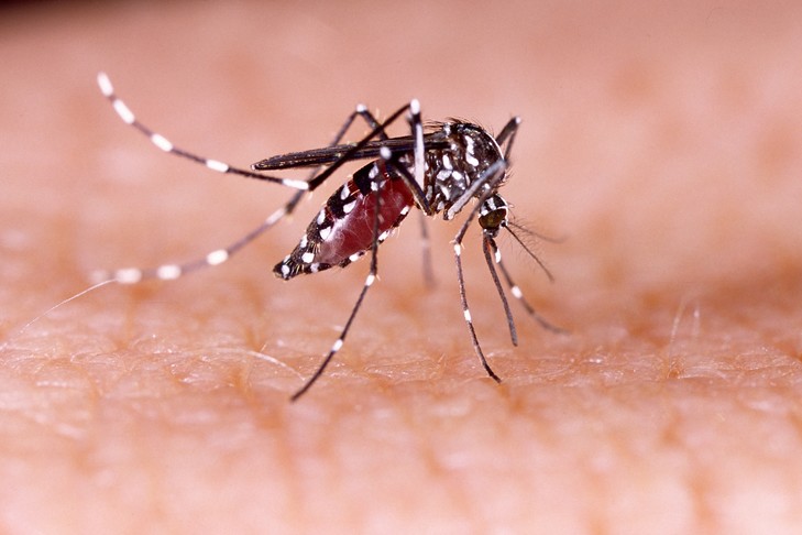 La grippe en hausse tandis que la dengue est en perte de vitesse 