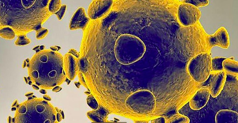 Image fournie par les autorités médicales américaines, le 27 février 2020 du coronavirus COVID 19