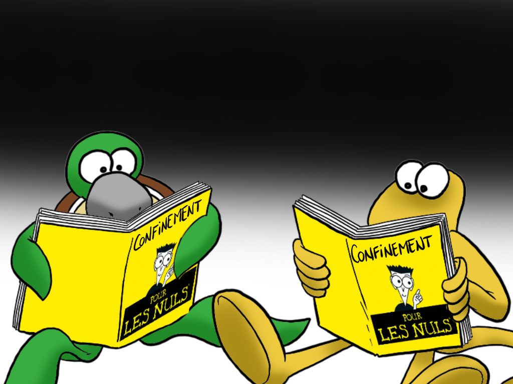 "Le b.a.-ba du confinement", par Munoz