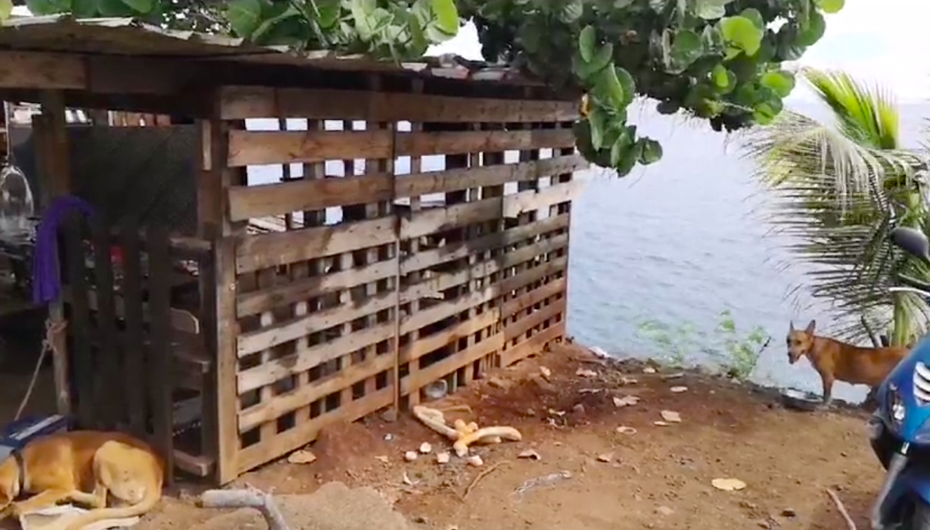 Un toit pour les SDF expulsés