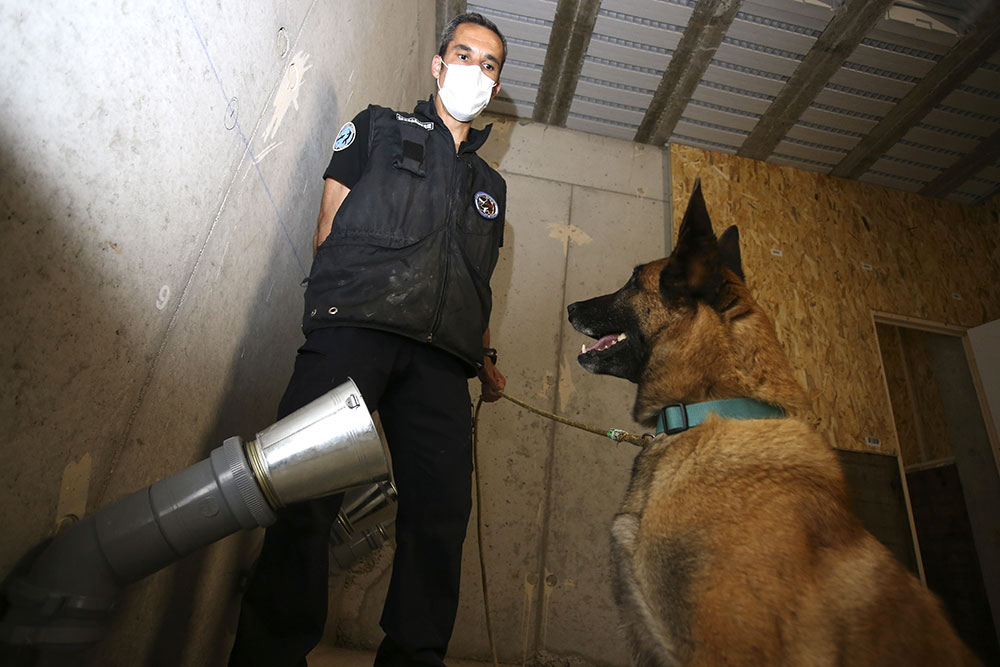 A Ajaccio, des chiens entraînés à détecter une éventuelle odeur du Covid-19