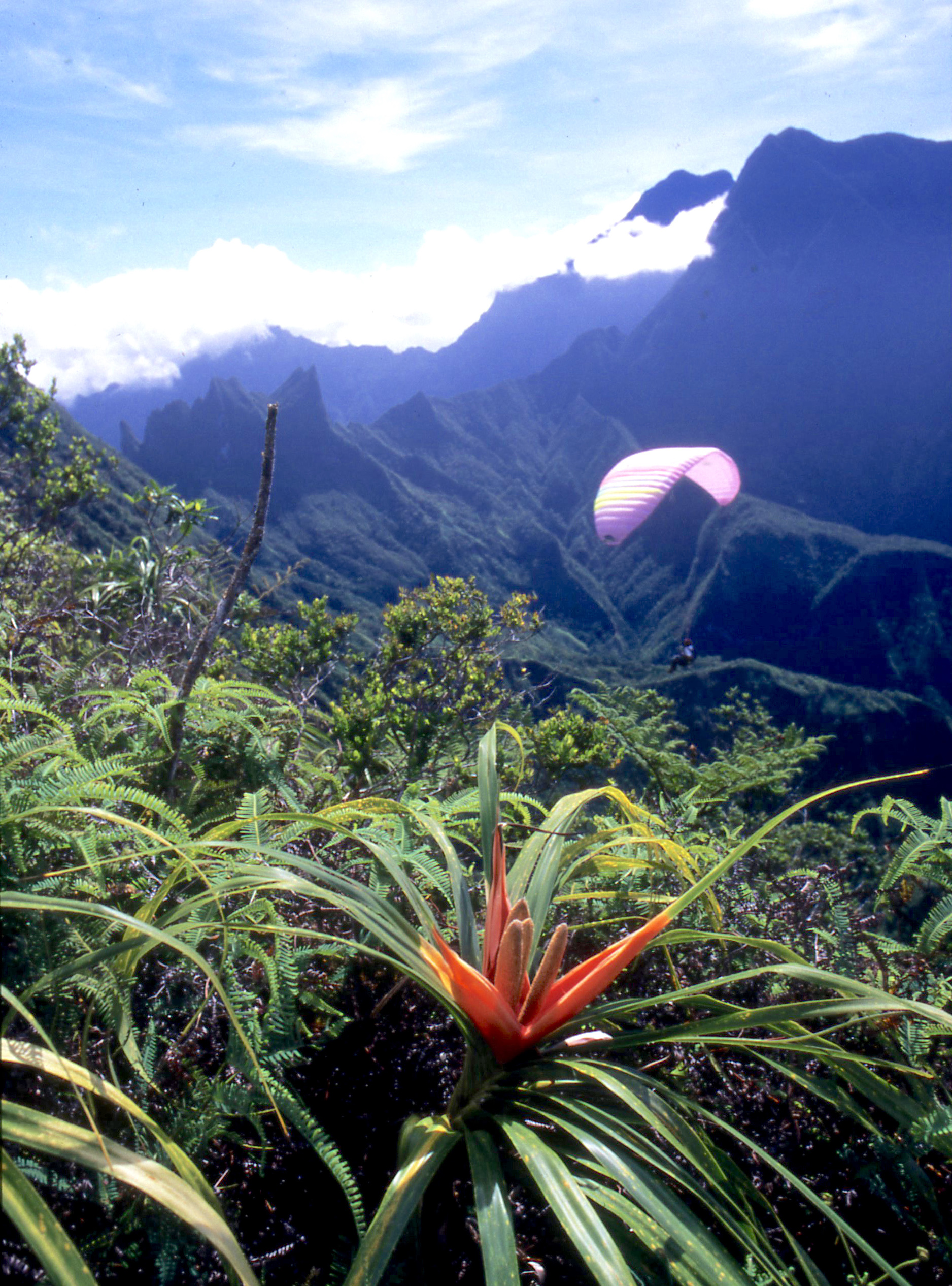 Les dix plus belles randonnées de Tahiti