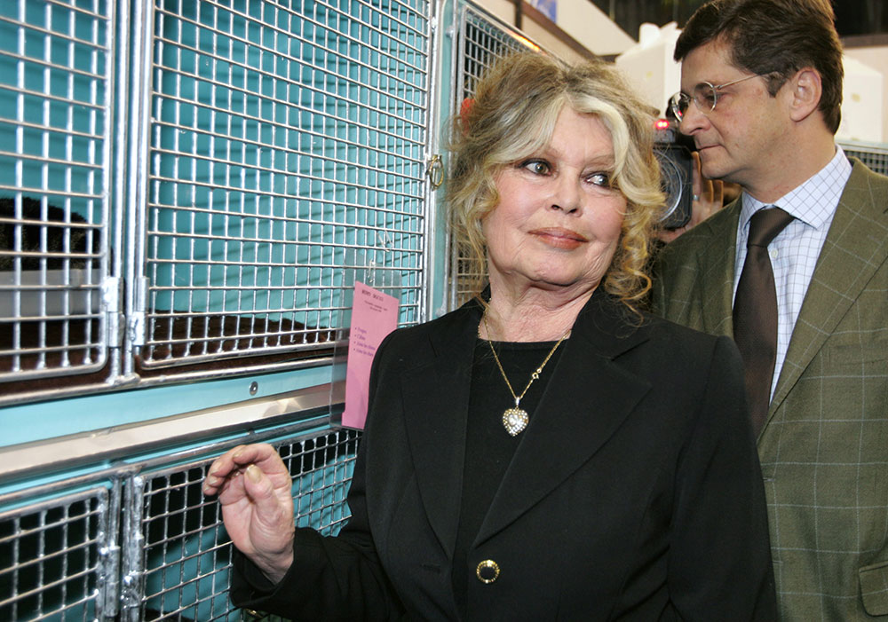 Brigitte Bardot renvoyée en correctionnelle pour injures raciales envers les Réunionnais