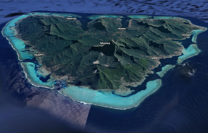 ​Accident mortel pendant un tronçonnage de cocotier à Moorea