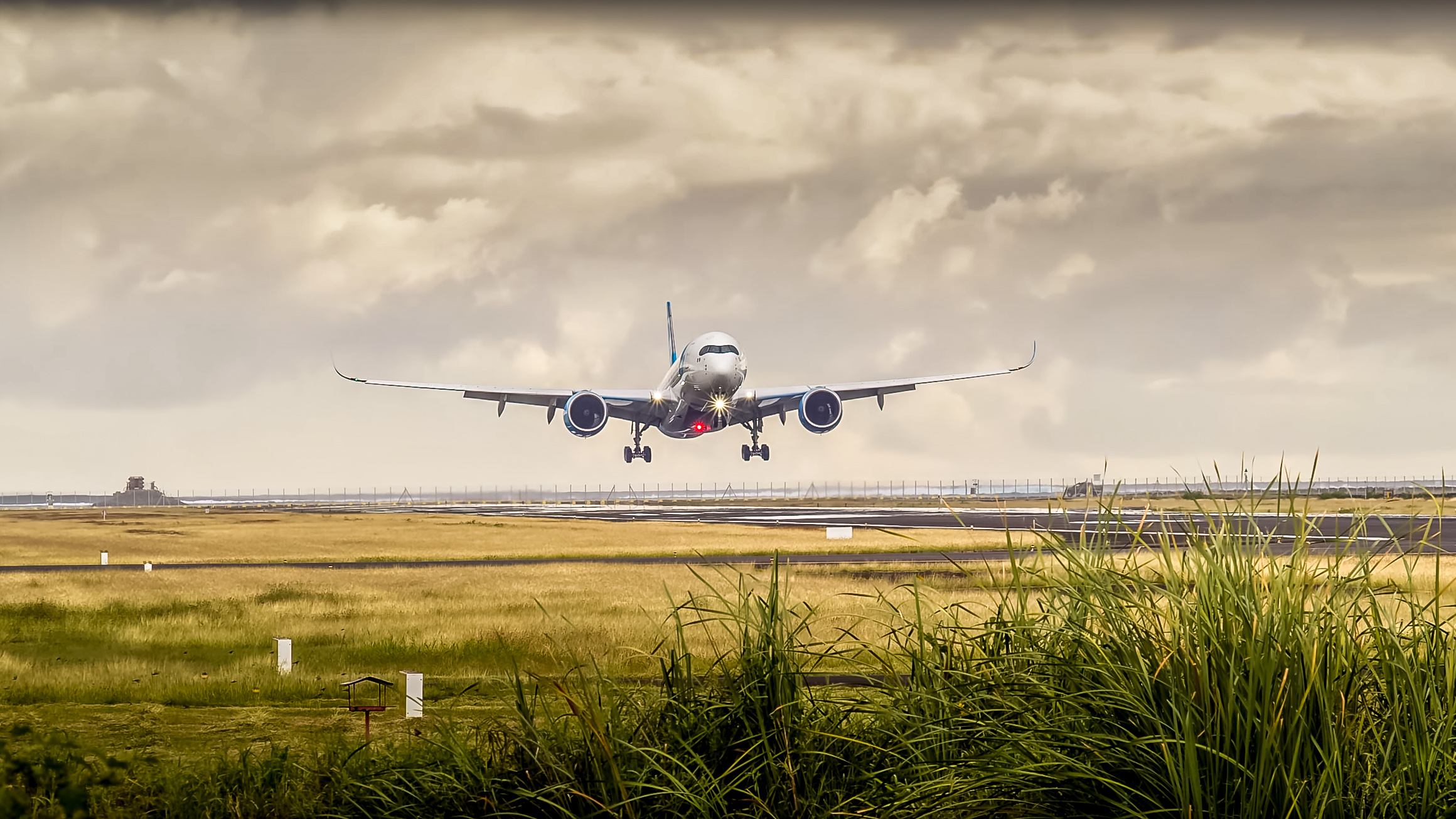 French bee prend la tête à “qui vole le plus loin”