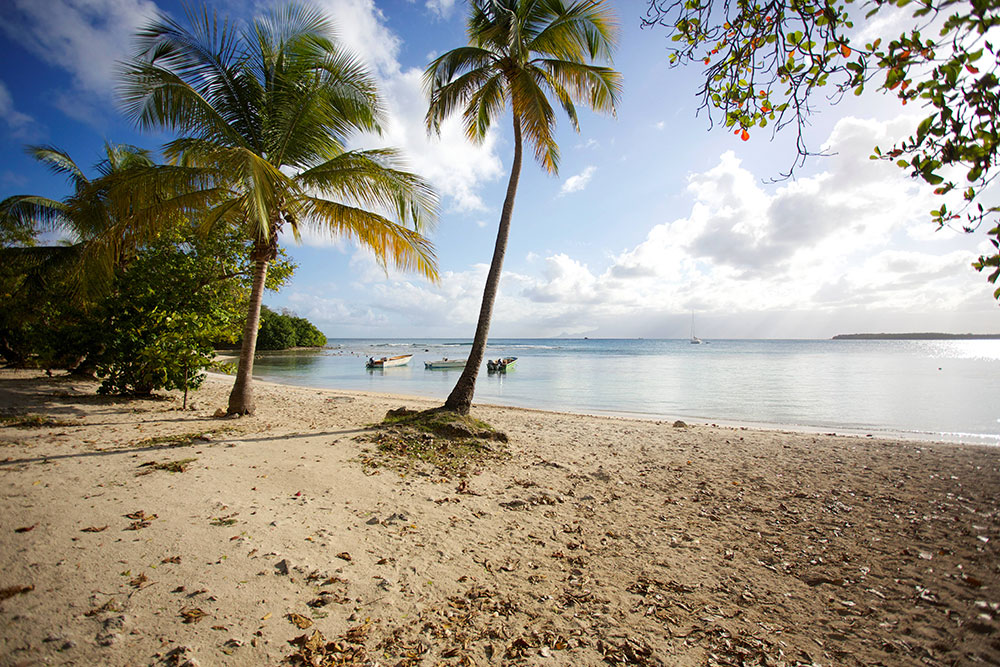 En Guadeloupe, les plages rouvrent sans touriste, comblant un besoin "presque vital" des habitants