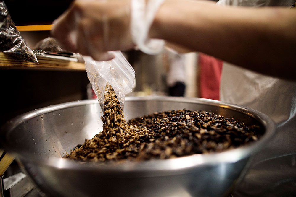 Au Japon, un plat typique de nouilles repensé avec des insectes