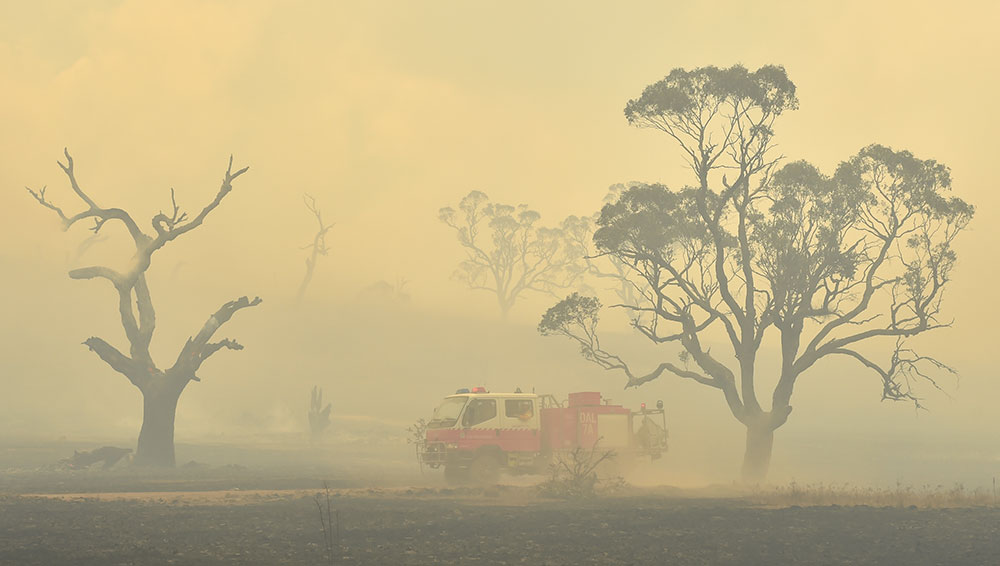 Australie: la fumée des incendies à l'origine de centaines de décès