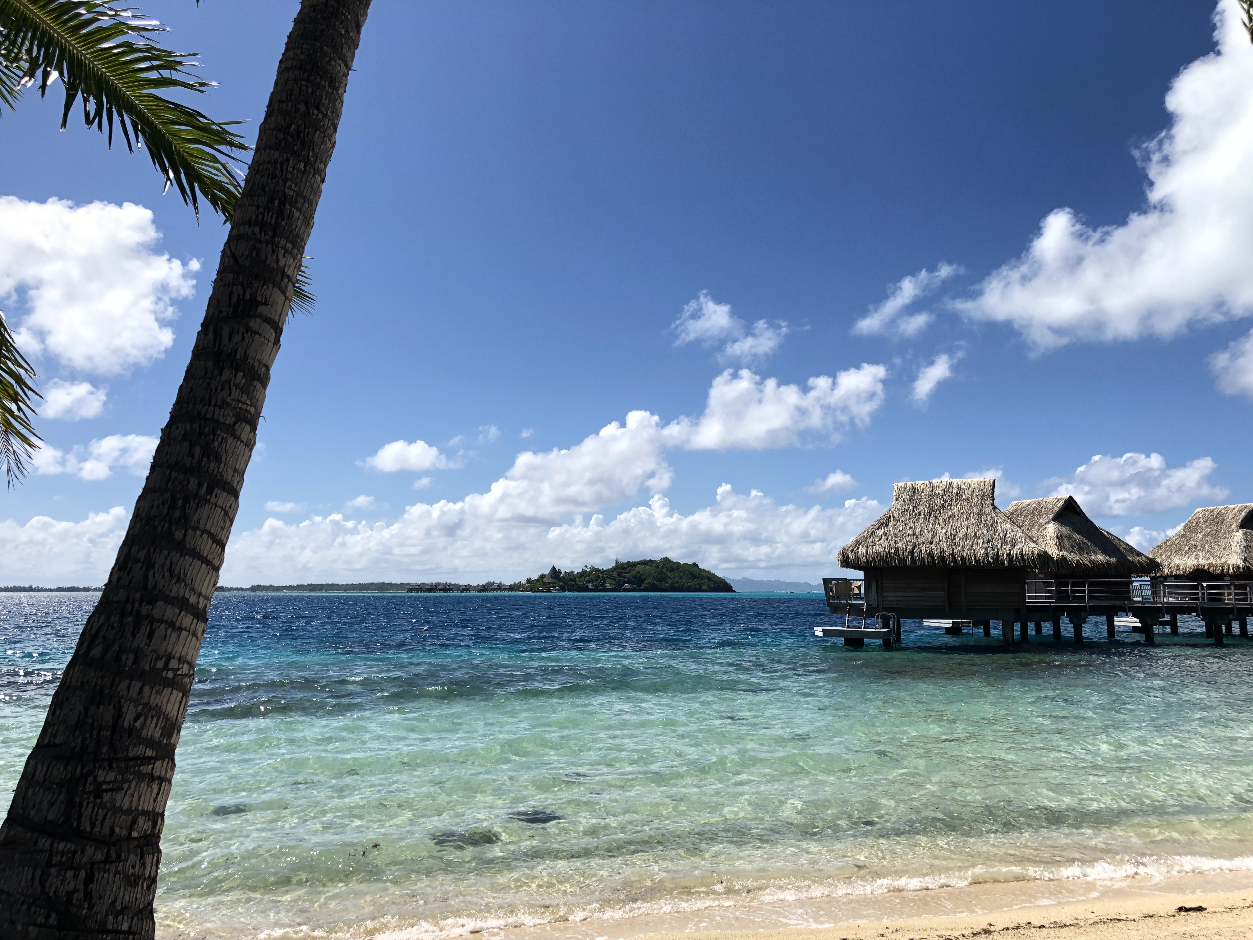 Ces jours dans les îles à prix cassés