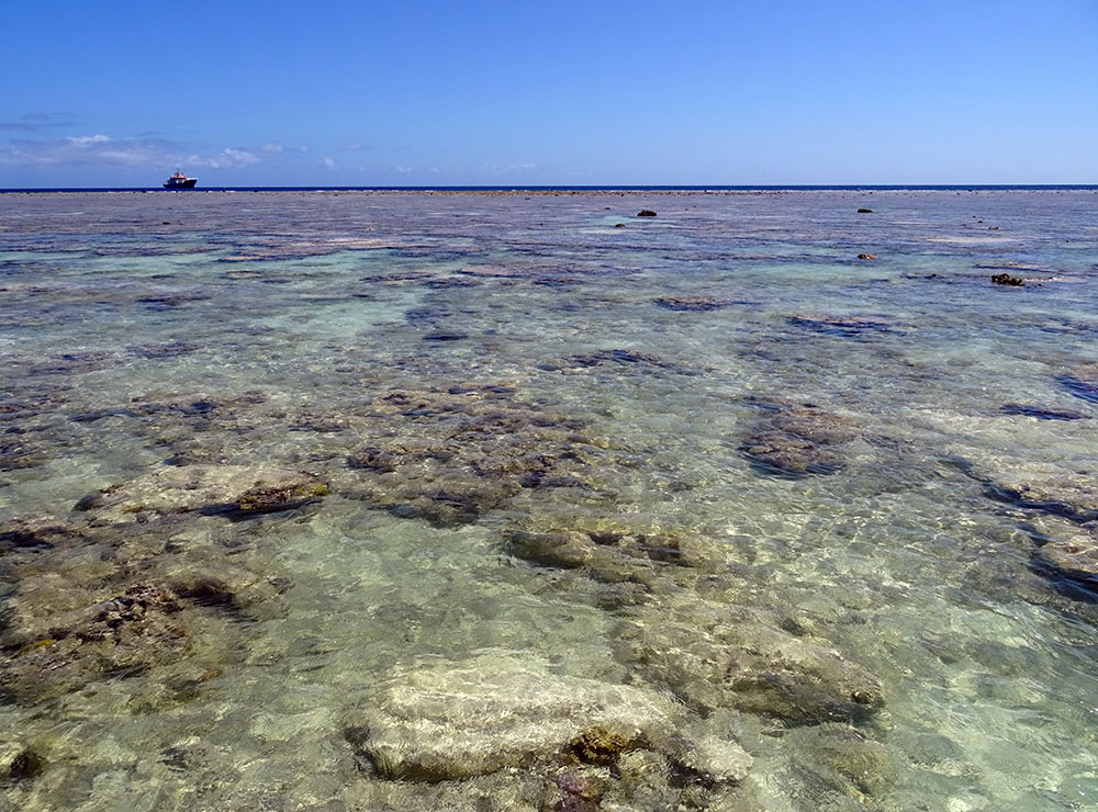 Les coraux menacés dans les îles françaises de l'océan Indien