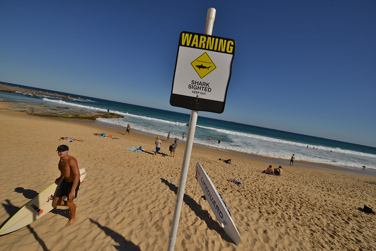 Australie: un surfeur tué par un requin