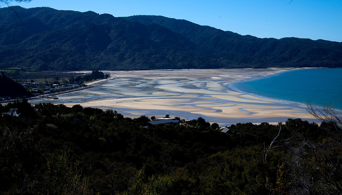 Sorti de confinement pour aller à la plage, un ministre néo-zélandais démissionne