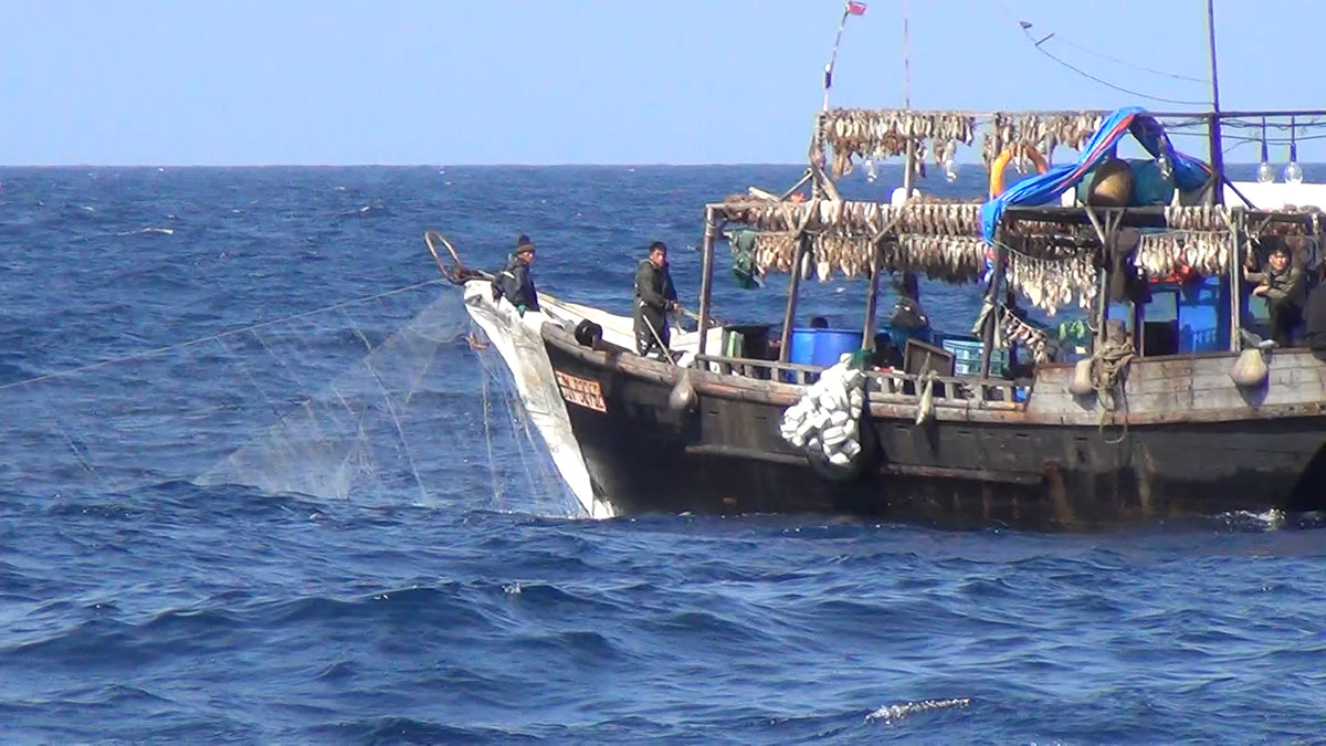 Des centaines de bateaux chinois pêchent illégalement en Corée du Nord