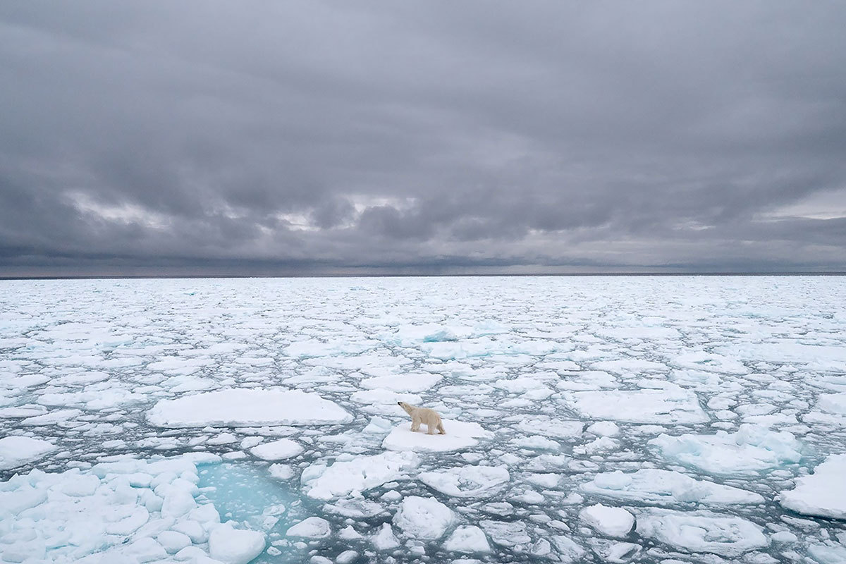 Arctique : record absolu de chaleur dans le Svalbard norvégien