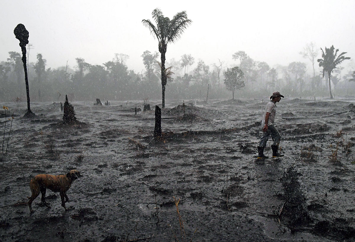 Amazonie brésilienne: très forte augmentation des incendies