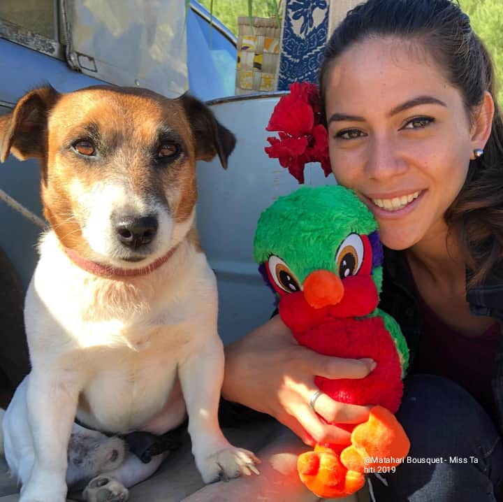 Des fonds pour un nouveau chien