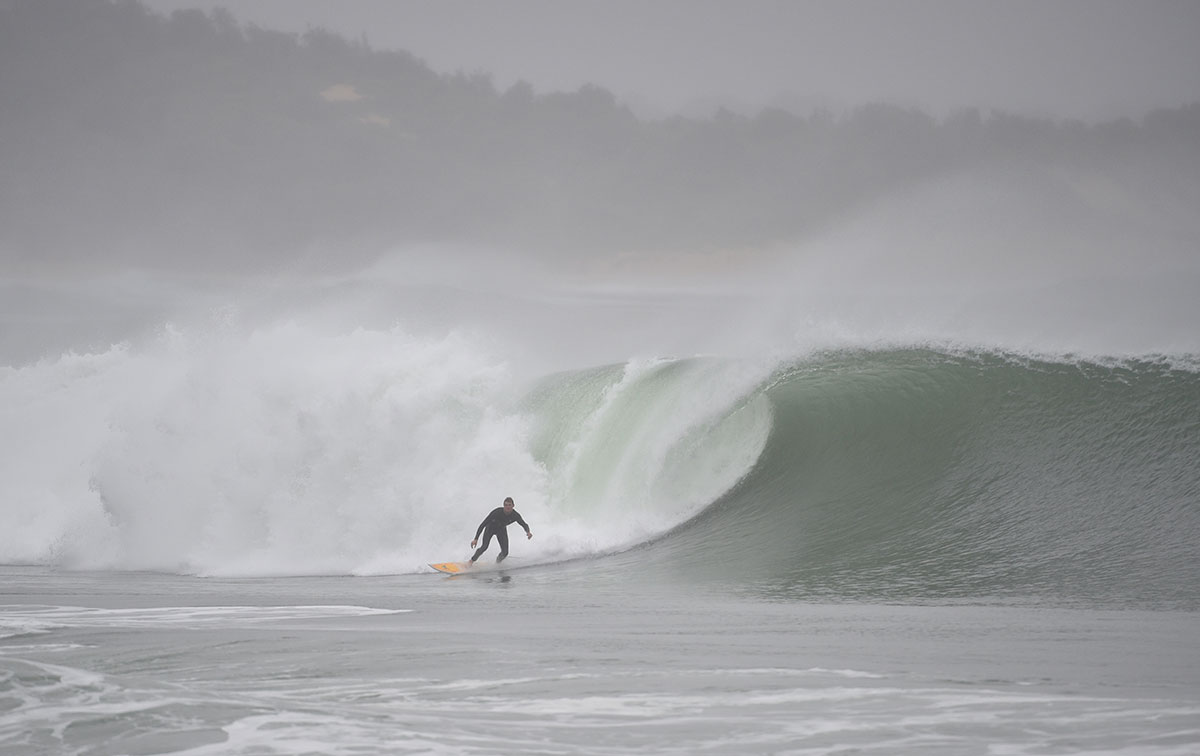 Pour sauver sa femme, un Australien frappe un requin à coups de poing