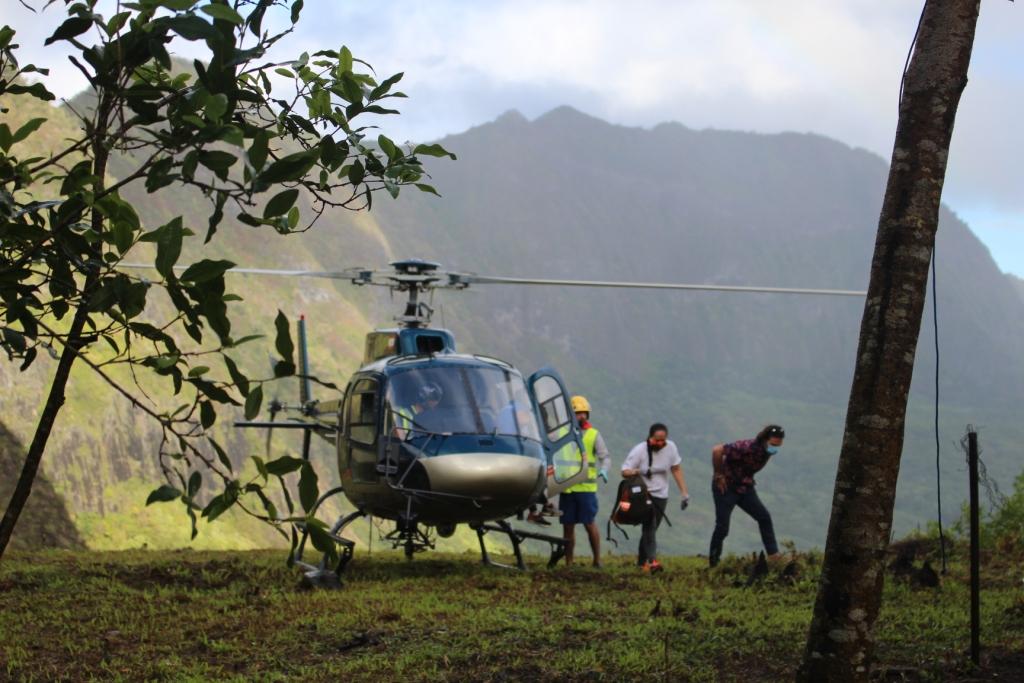 Maraeti'a : nouvelle étape du projet de restauration de forêt 