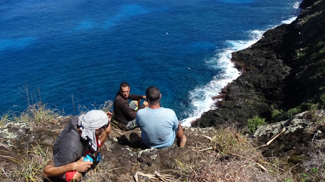 Les oiseaux de retour grâce à MANU