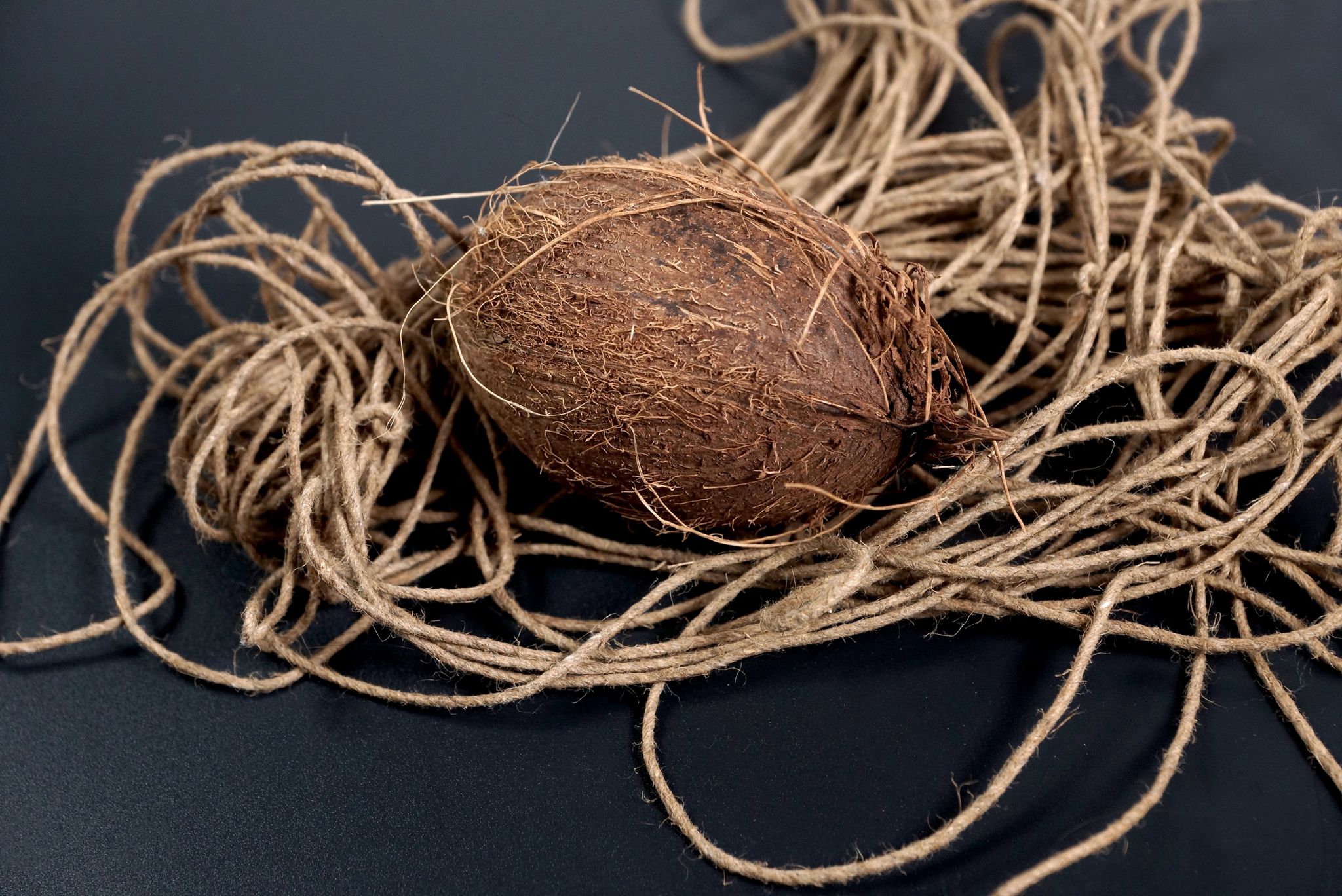 Cocorig : la fibre de coco pour sortir du lagon des kilomètres de plastique