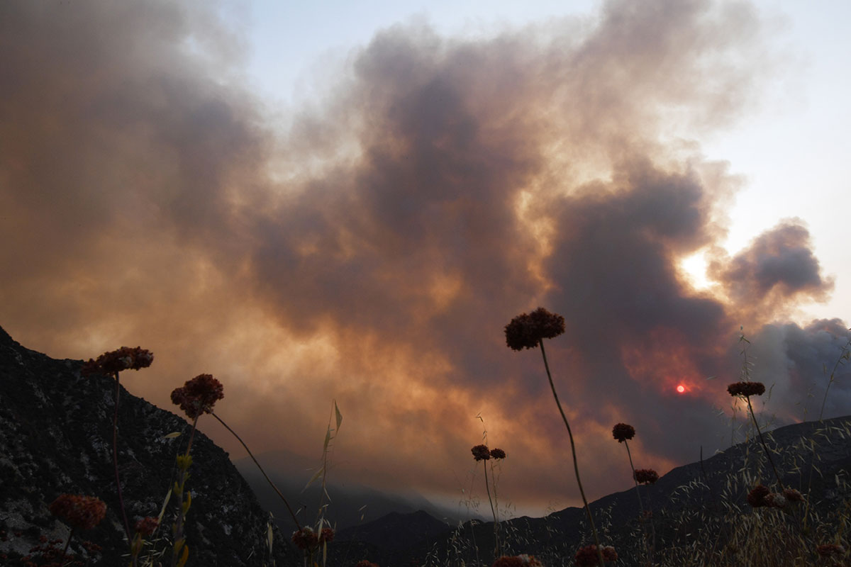 Plus de 8.000 km2 incendiés en Californie, un record depuis 1987