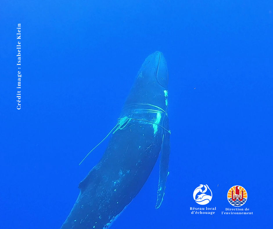 Crédit : Isabelle Klein