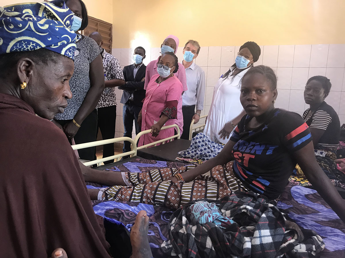 Les villes africaines menacées par un moustique asiatique vecteur du paludisme