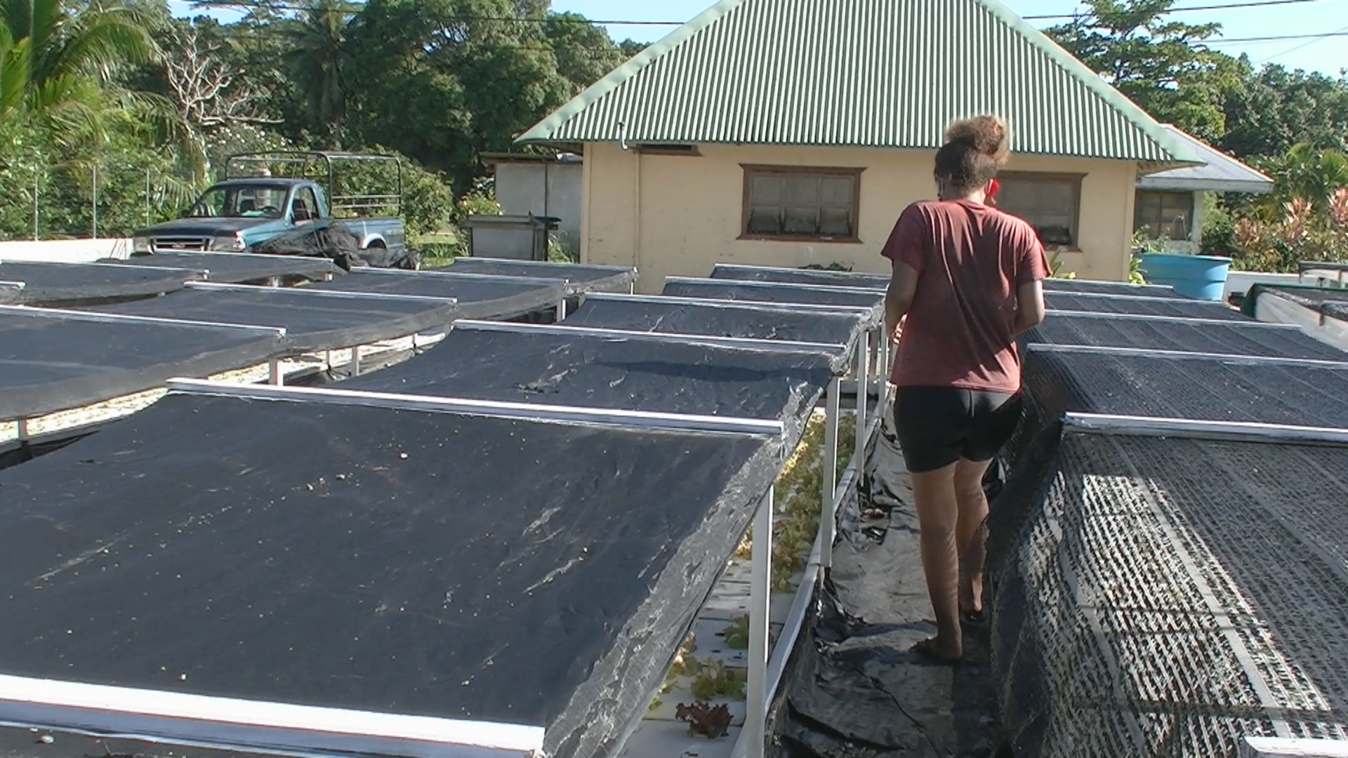 L'aquaponie intéresse la Direction de l'agriculture