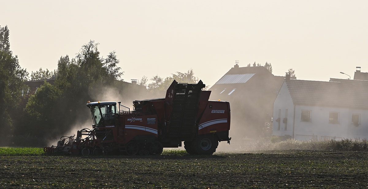 Traces de néonicotinoïdes dans 10% d'aliments végétaux