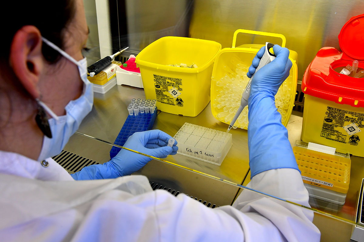 Virus : des chercheurs britanniques comptent infecter des volontaires