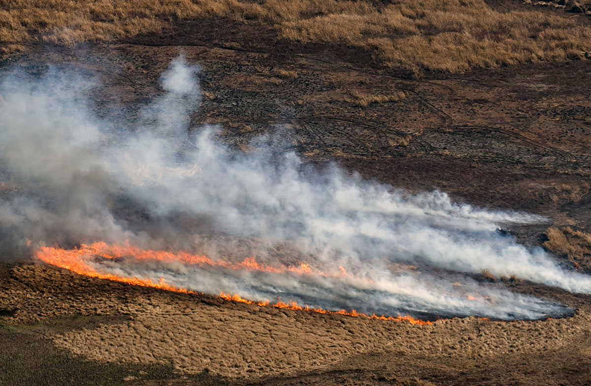 En Amérique du sud, une sécheresse et des incendies sans précédent