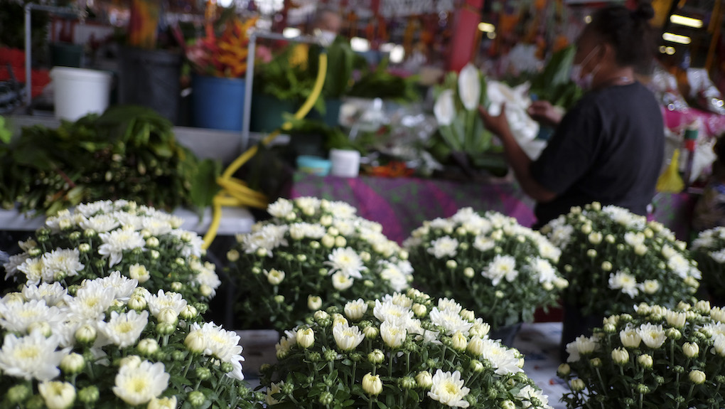 Des fleurs malgré le Covid pour la Toussaint