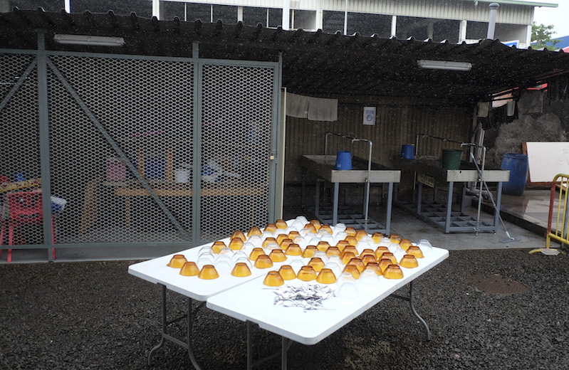 Covid-19 : Le rassemblement des SDF à Fare Ute fait débat