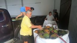 Les Raromatai exportent leurs cocos
