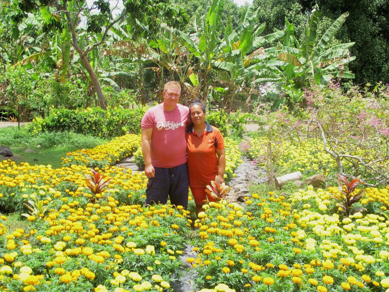 Des fleurs pour la Toussaint