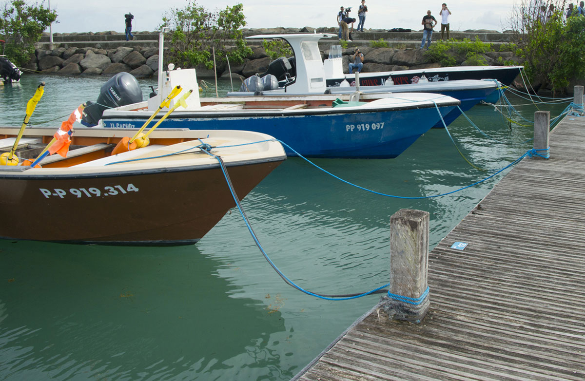 En Guadeloupe, finie la pêche au lambi, pour préserver la ressource