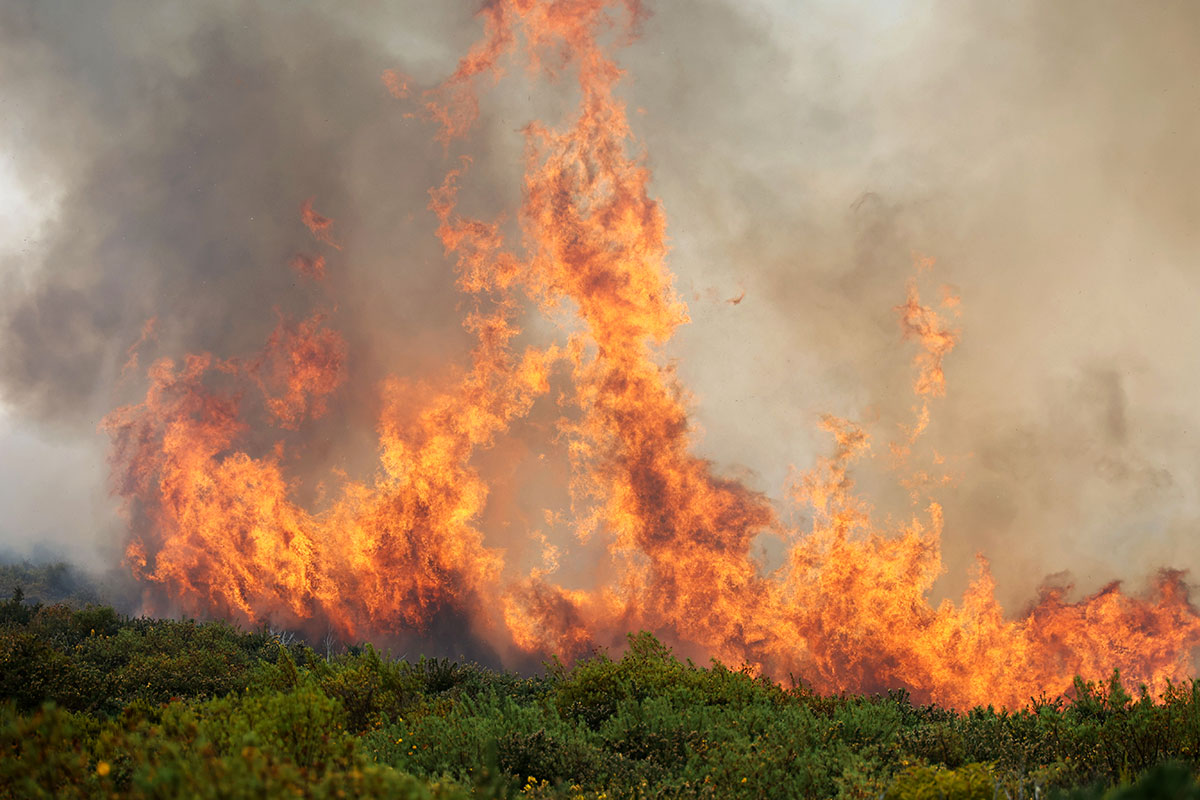 Un incendie ravage plus de 200 hectares à La Réunion